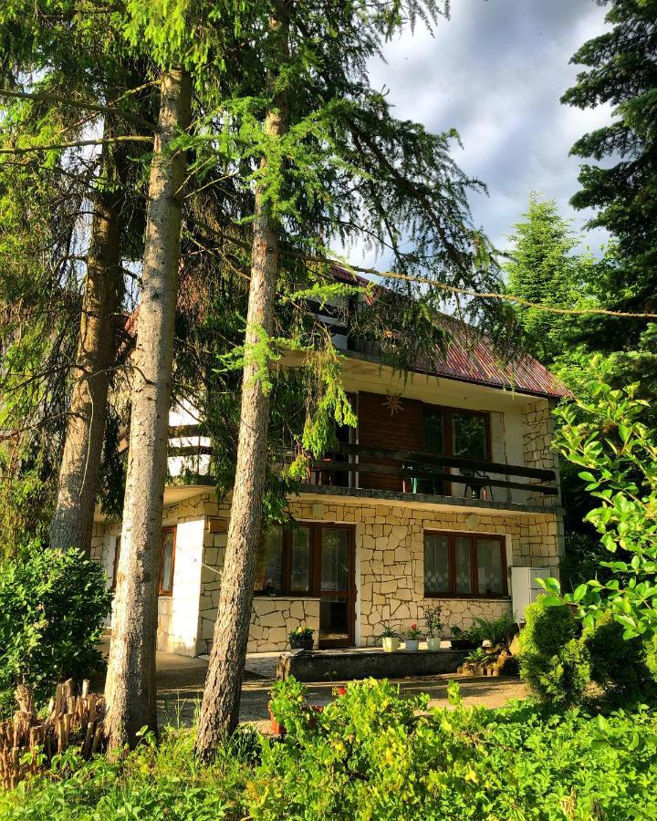 Dalia Hotel Iwonicz-Zdrój Exterior foto